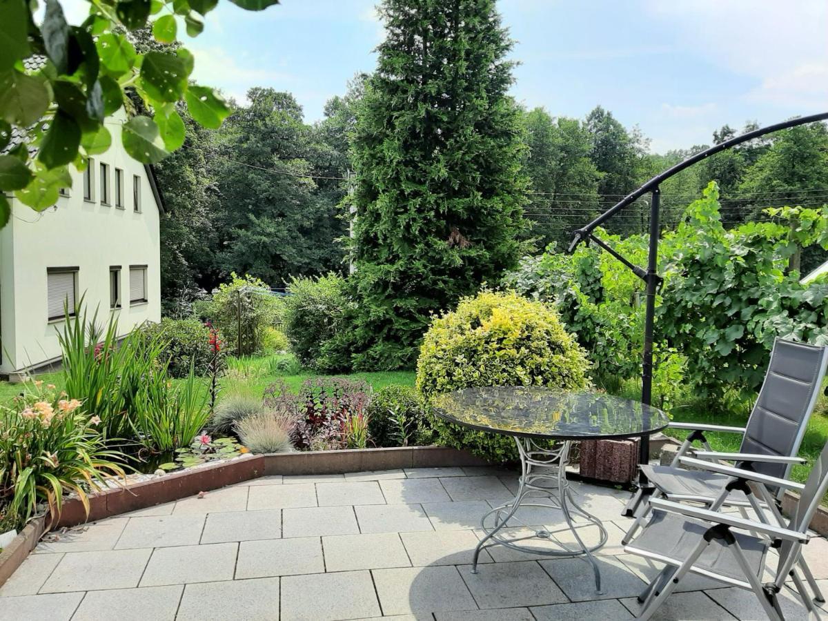 Ferienwohnung Im Gruenen Muldental Langenbach  Екстер'єр фото