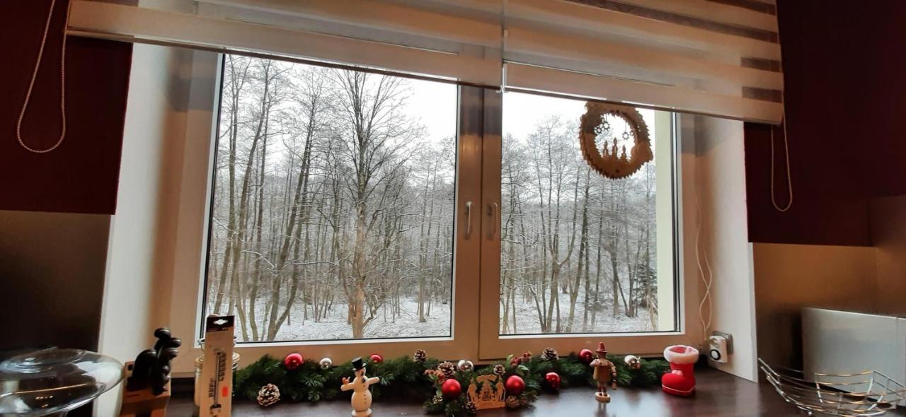 Ferienwohnung Im Gruenen Muldental Langenbach  Екстер'єр фото
