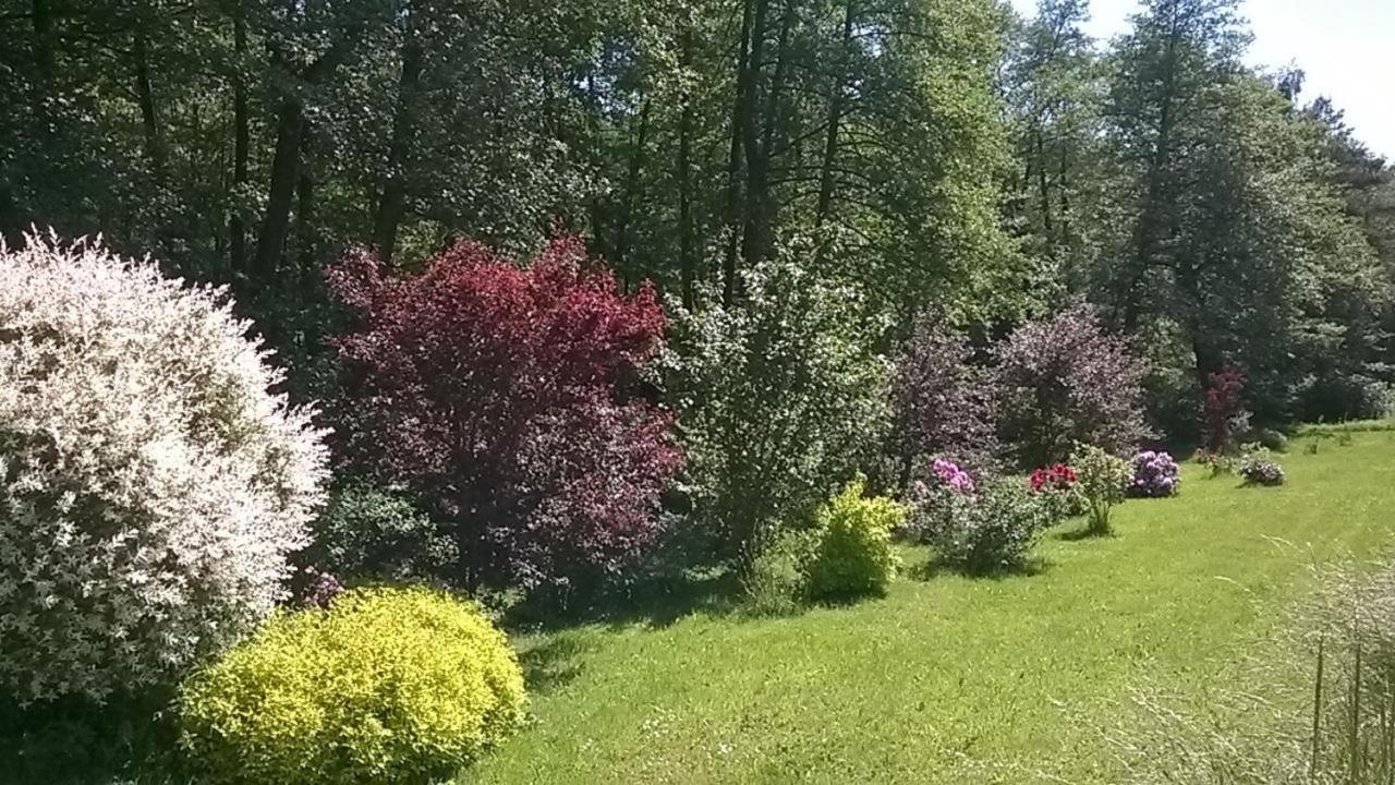 Ferienwohnung Im Gruenen Muldental Langenbach  Екстер'єр фото