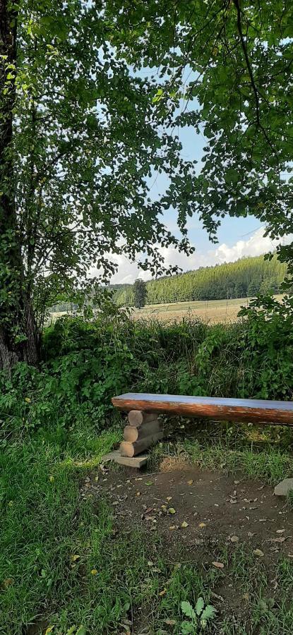 Ferienwohnung Im Gruenen Muldental Langenbach  Екстер'єр фото
